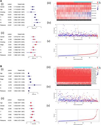 N6-Methyladenosine RNA Methylation Regulator-Related Alternative Splicing (AS) Gene Signature Predicts Non–Small Cell Lung Cancer Prognosis